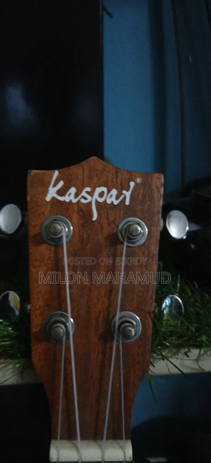 Ukulele - উকোলেলে