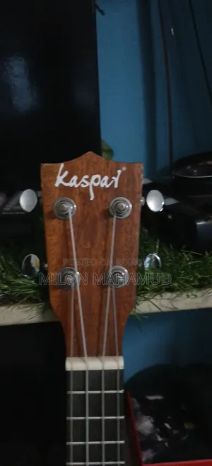 Ukulele - উকোলেলে