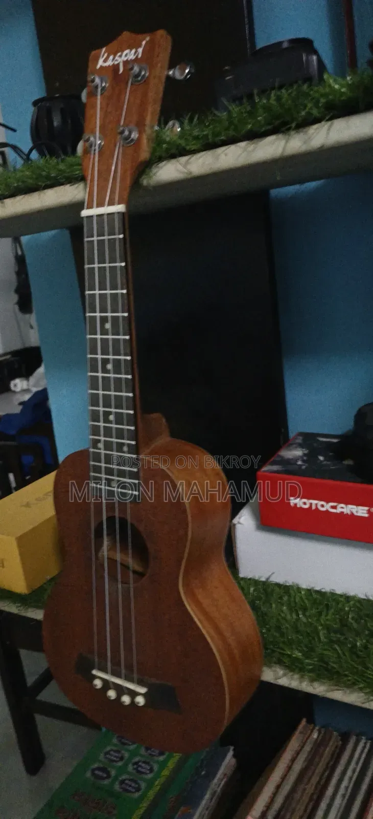 Ukulele - উকোলেলে