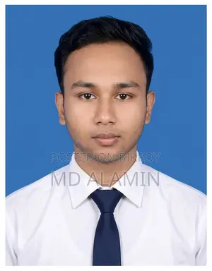 Computing & IT CV