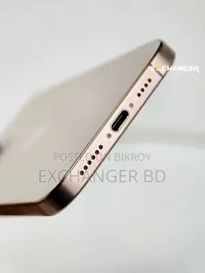অ্যাপল আইফোন ১৬ প্রো ম্যাক্স ২৫৬ জিবি গোল্ড