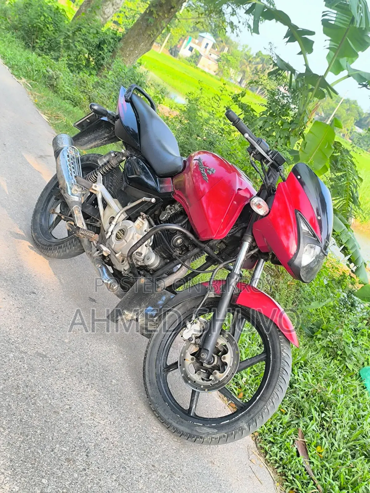 New Bajaj Pulsar 150 2015 Red