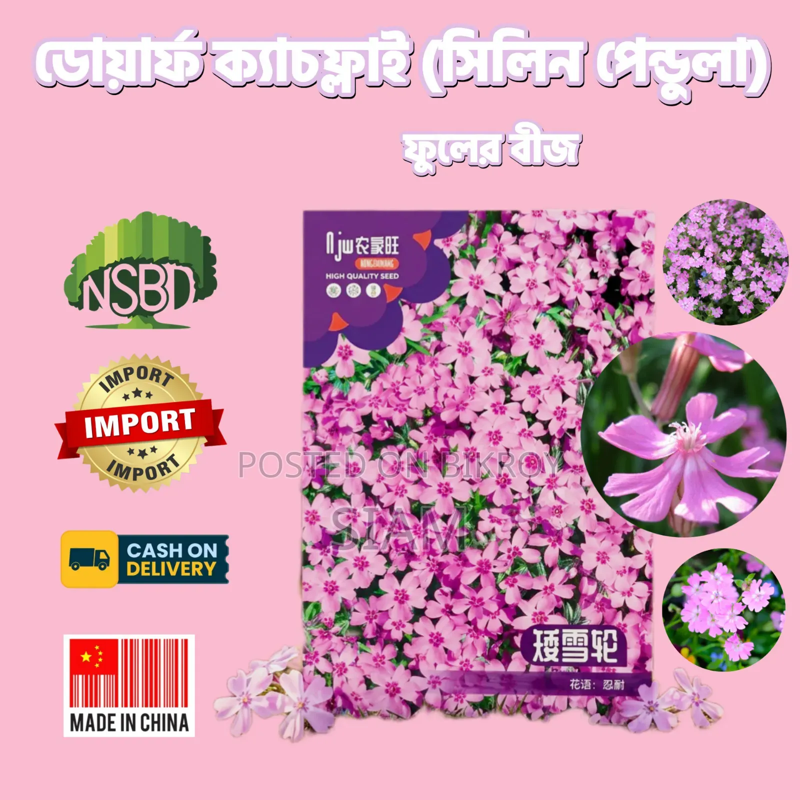 Dwarf Catchfly (Silene Pendula) Flower Seeds