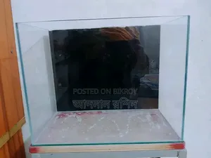 18/10/14 Aquarium