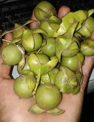 সুন্দরবনের কেওড়া ফল | Fresh Kewra Fruit | সুন্দরবনের কেওড়া