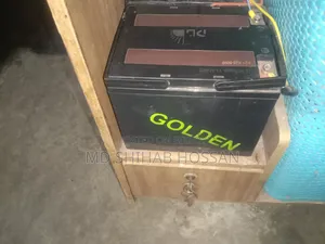 আইপিএস ইলেকট্রনিক্স