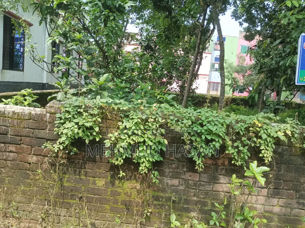 Land Plot for Sale in Rohonpur (Urgent Basis)