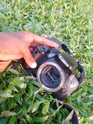 Canon 700d+55-250Jum Lens