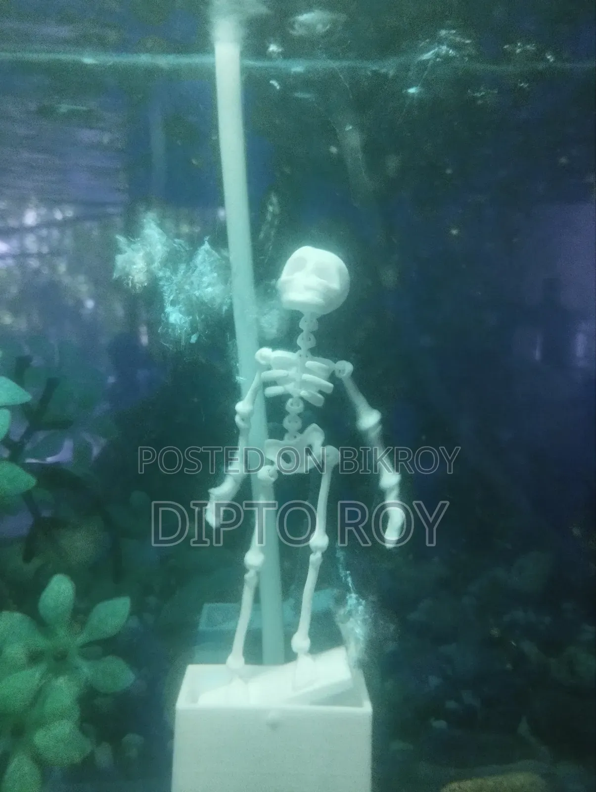 Viral 3D Printed Dancing Skeleton Aquarium Ornament