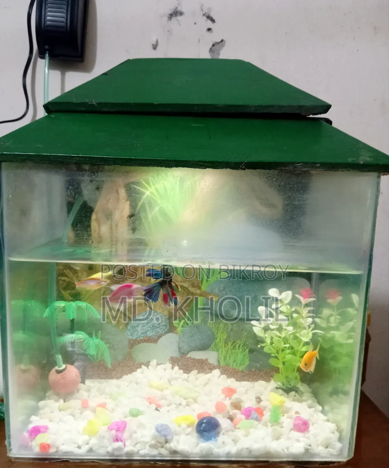 Aquarium + Fish