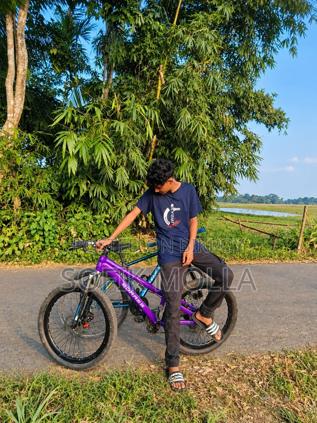 Cycle Frame Borrse Sun 6.1