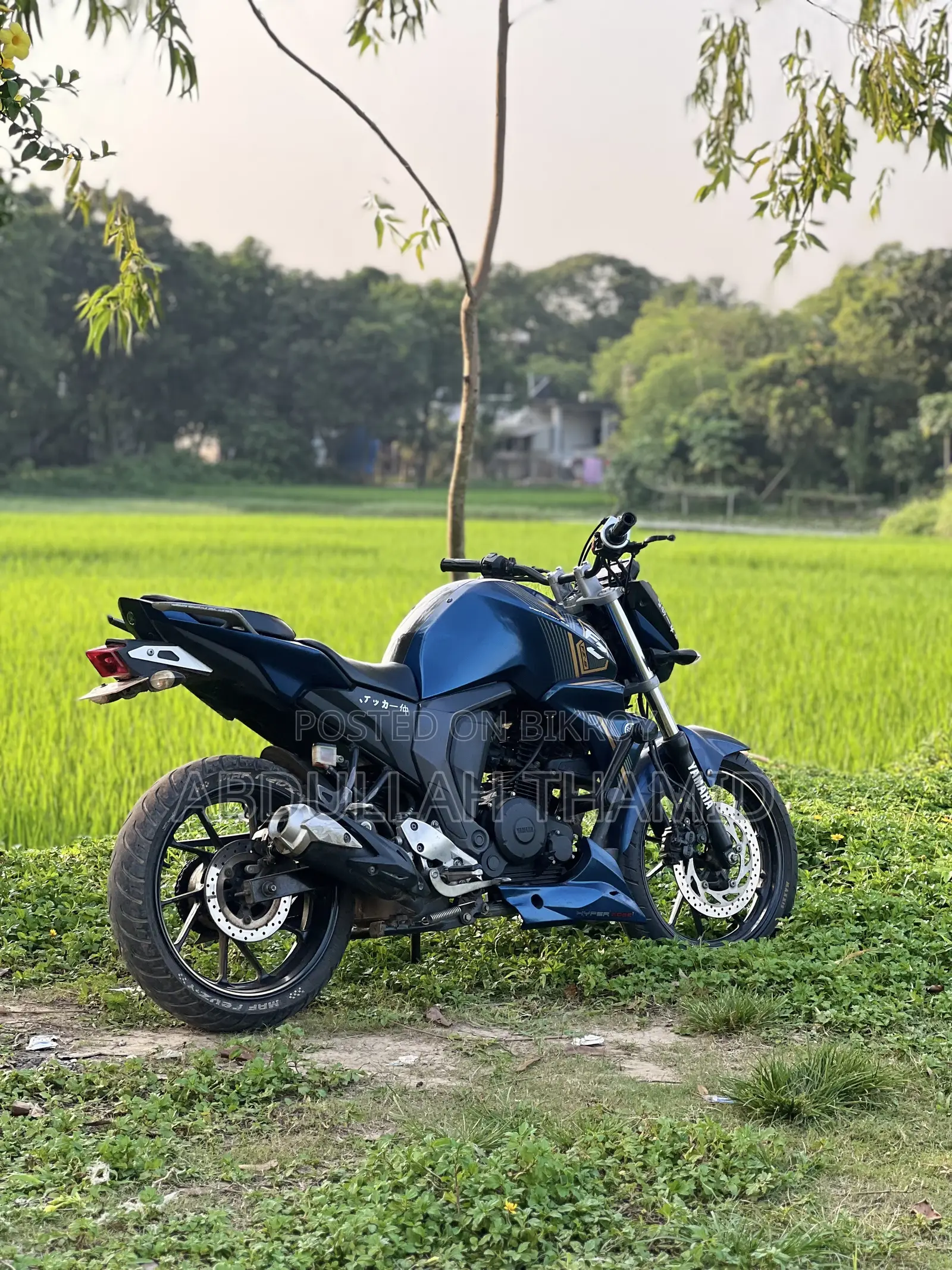 ইয়ামাহা এফজেড ২০২২ নীল