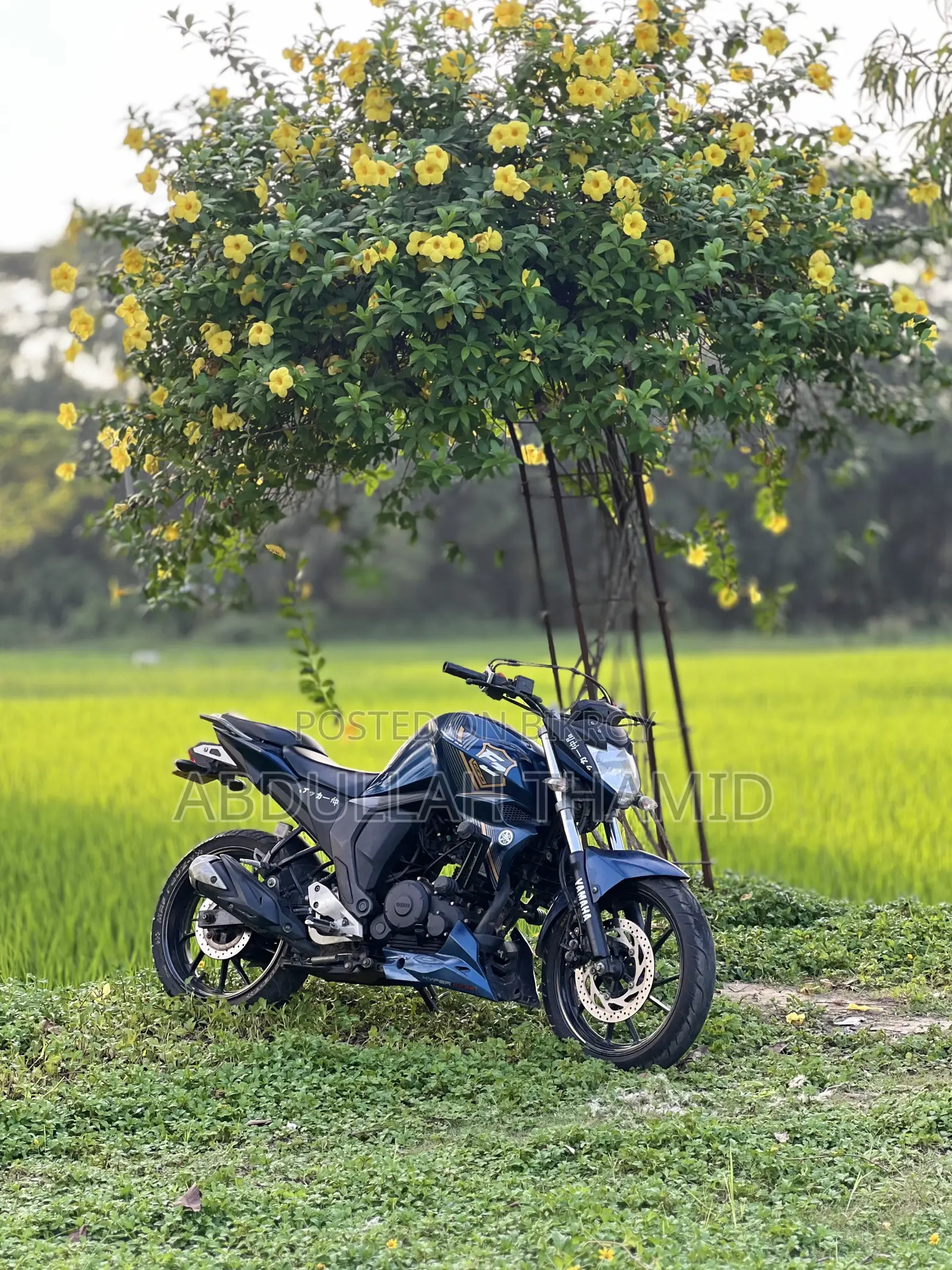 ইয়ামাহা এফজেড ২০২২ নীল