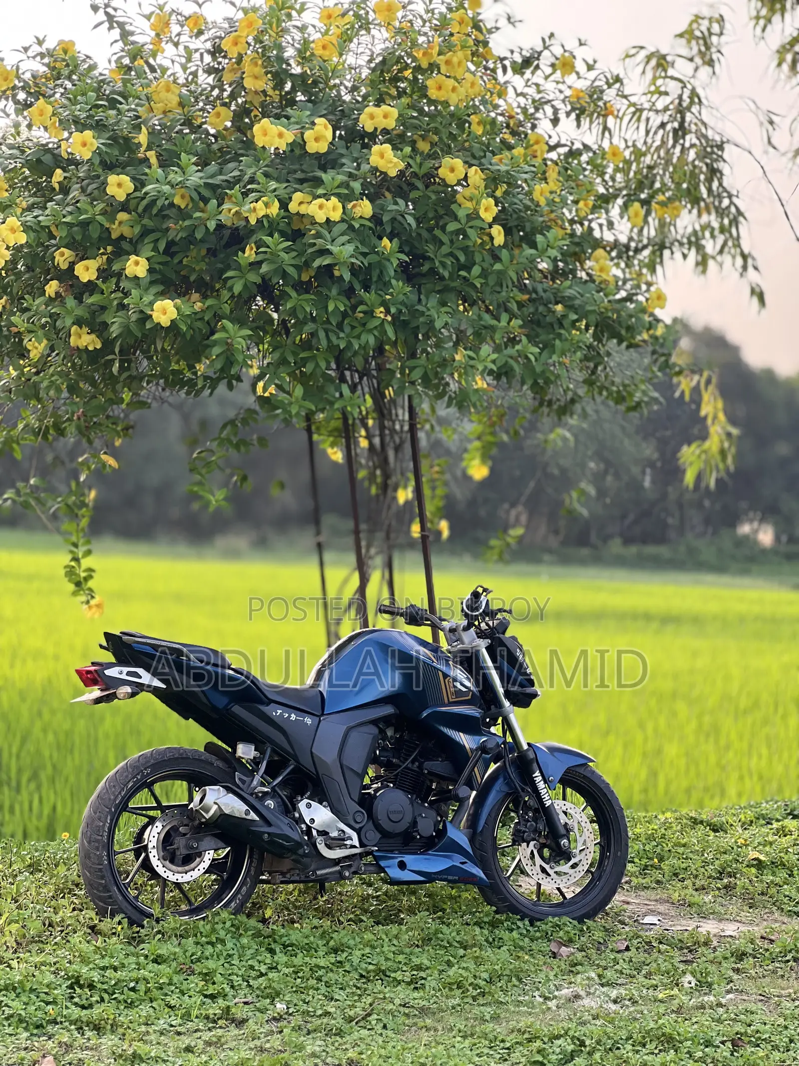 ইয়ামাহা এফজেড ২০২২ নীল