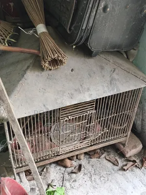 Iron Cage