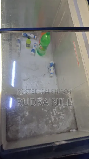 Singer Deep Refrigerator