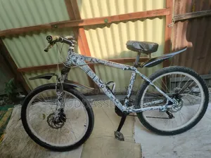 Phoenix Cycle