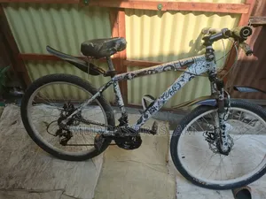 Phoenix Cycle