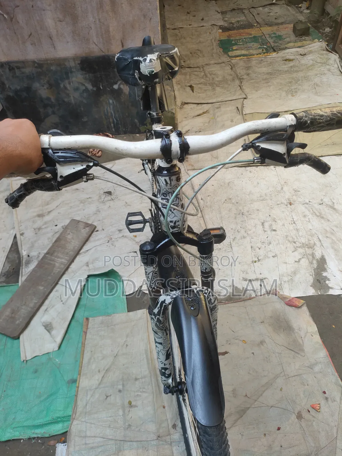 Phoenix Cycle