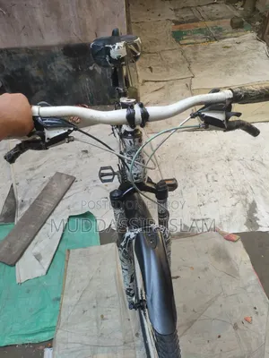 Phoenix Cycle