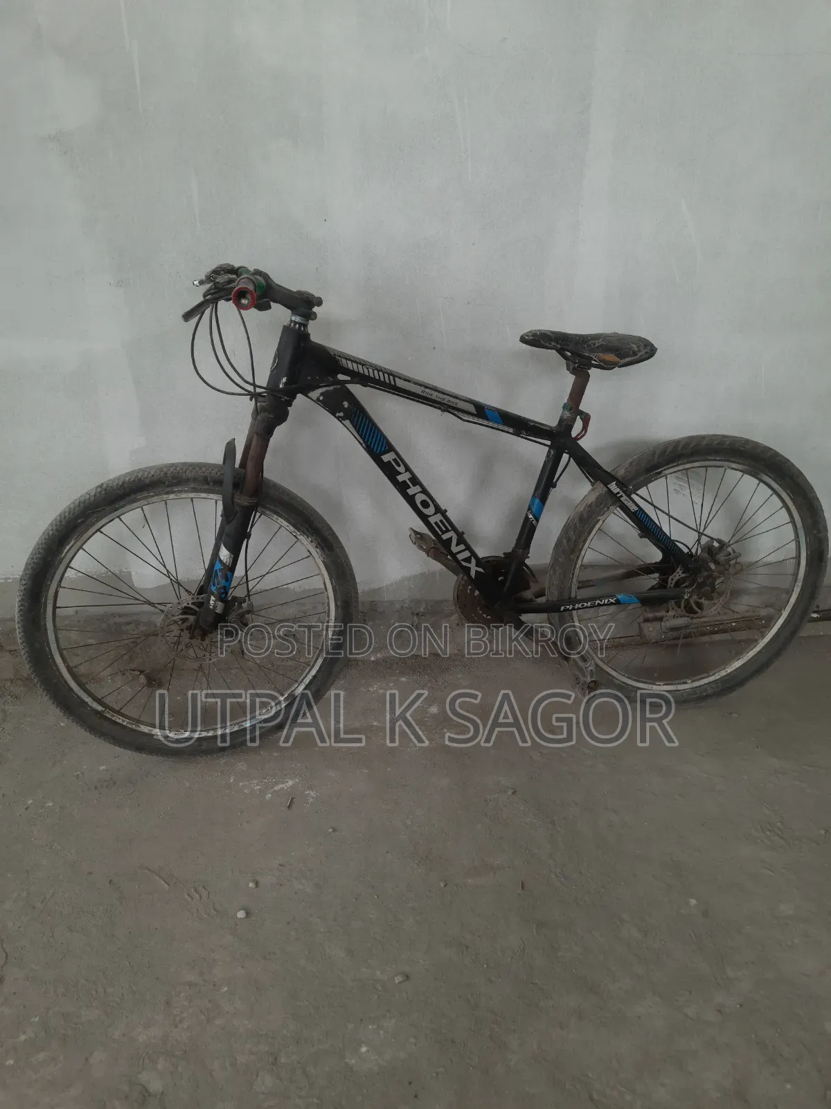 Phoenix Mountain Bike