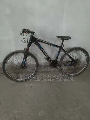 Phoenix Mountain Bike