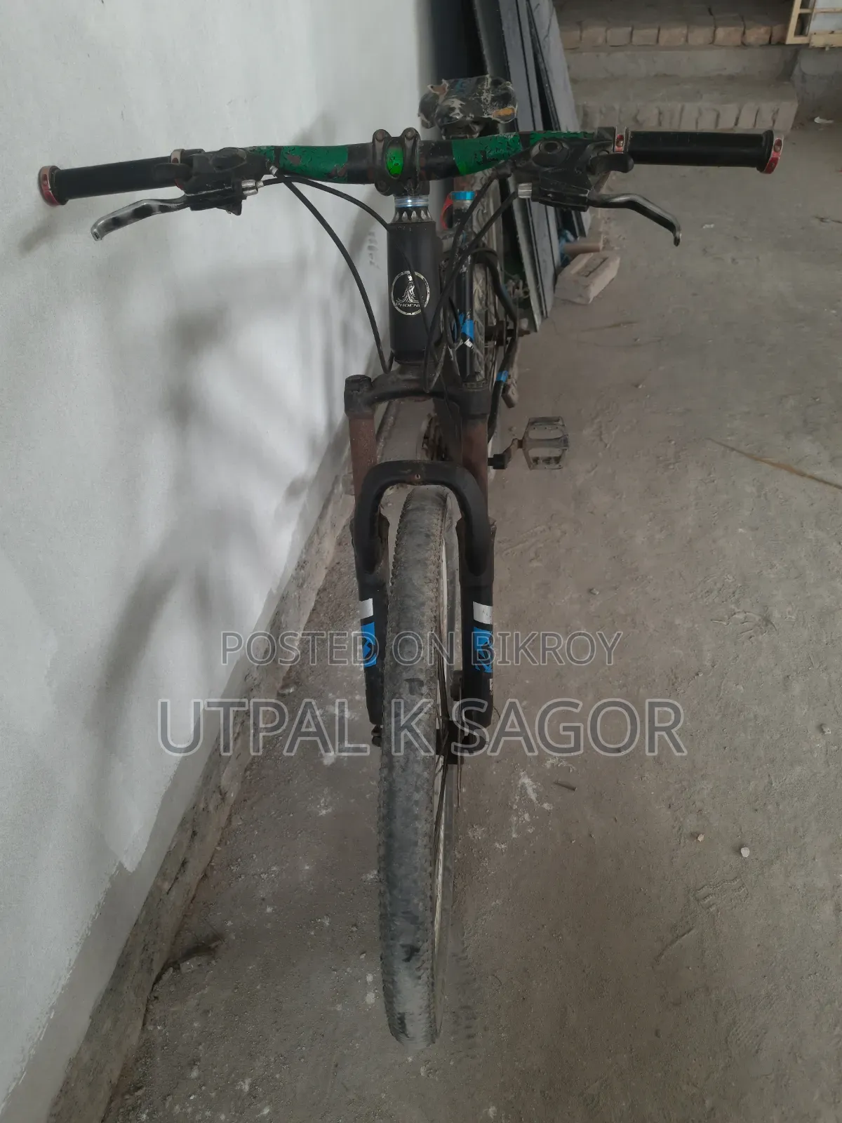 Phoenix Mountain Bike
