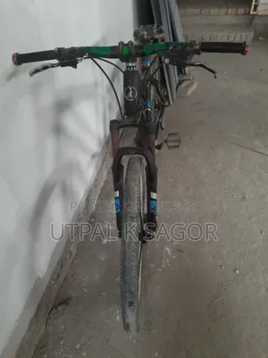 Phoenix Mountain Bike