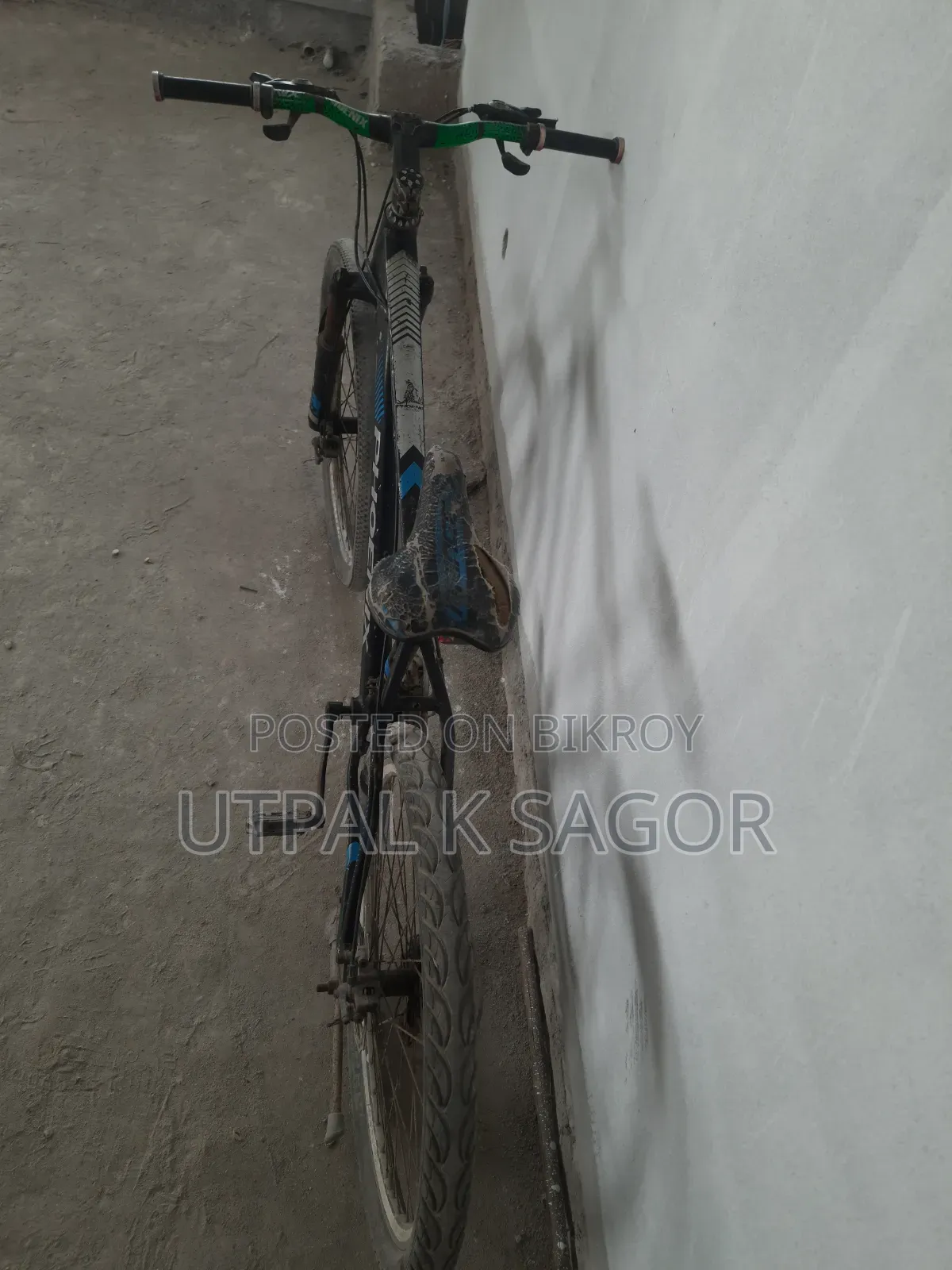 Phoenix Mountain Bike