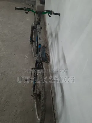 Phoenix Mountain Bike