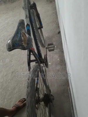 Phoenix Mountain Bike