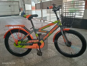 Phonix Bicycle