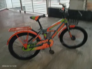 Phonix Bicycle