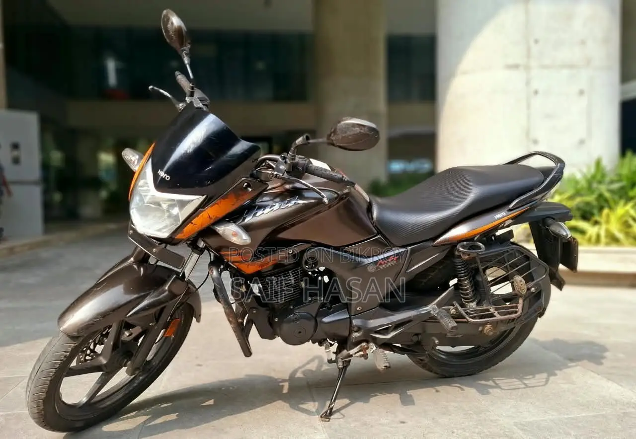 হিরো হাংক ২০১৮ ব্রাউন