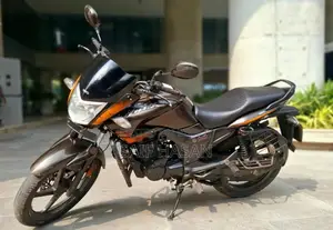 Hero Hunk 2018 Brown