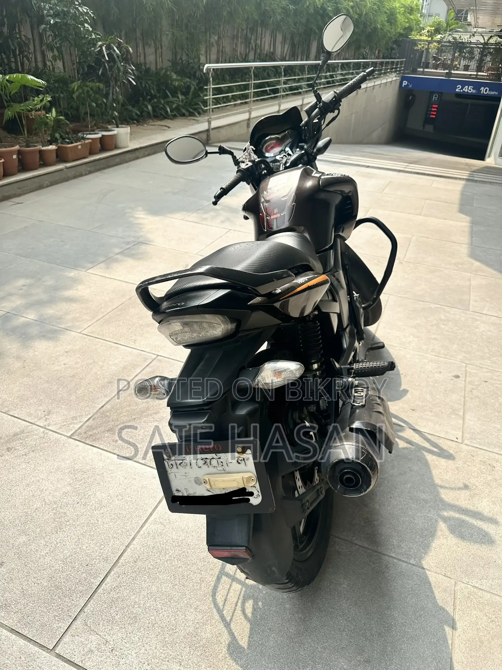 হিরো হাংক ২০১৮ ব্রাউন