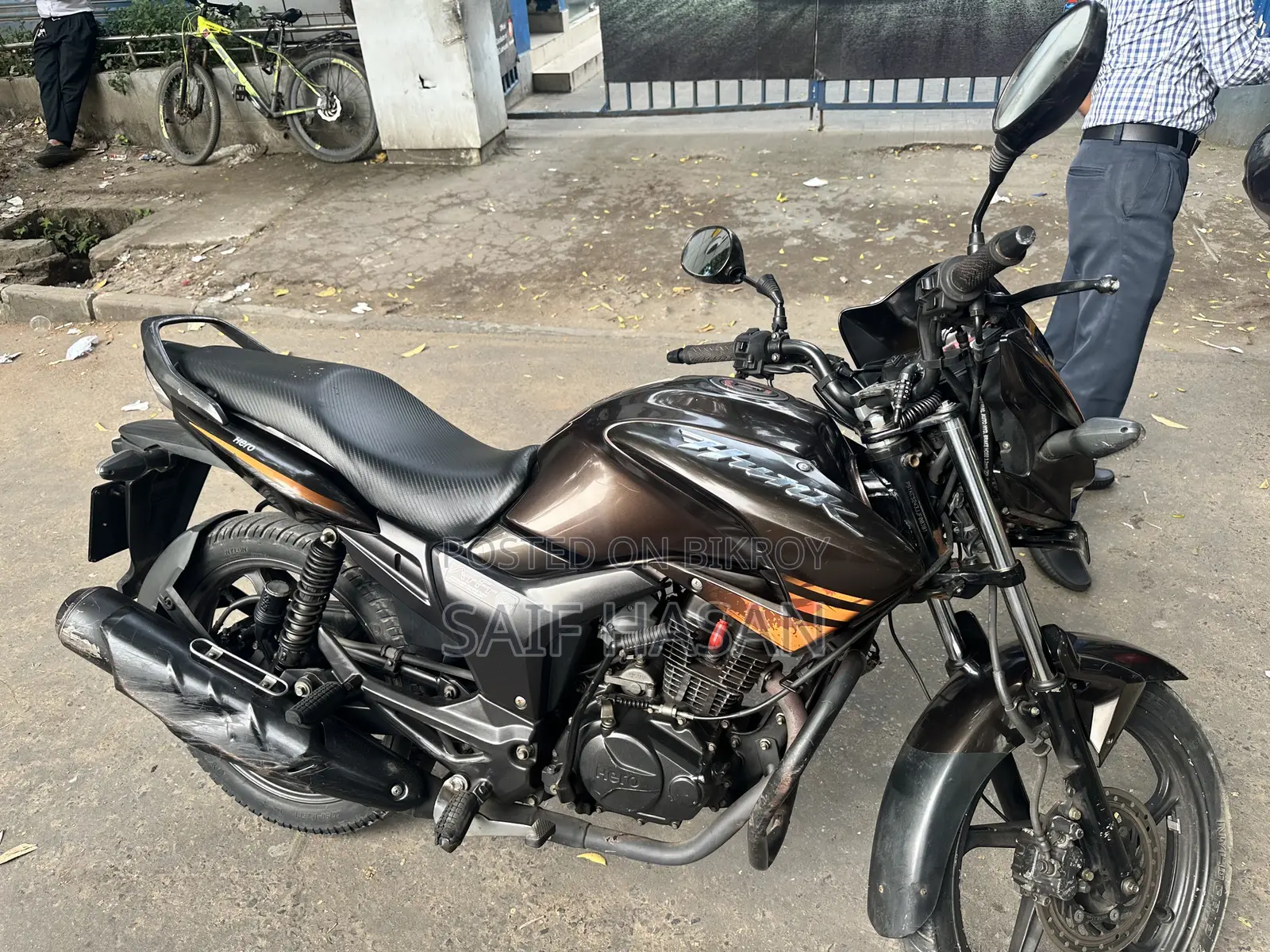 হিরো হাংক ২০১৮ ব্রাউন
