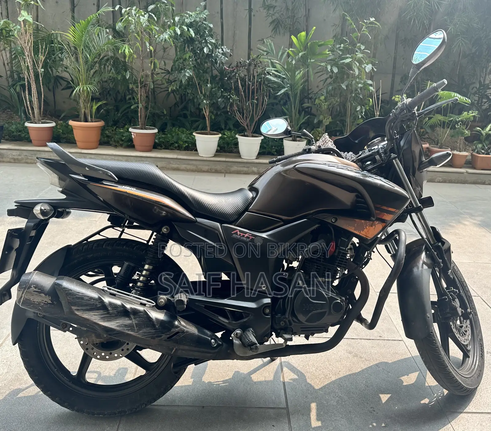 হিরো হাংক ২০১৮ ব্রাউন
