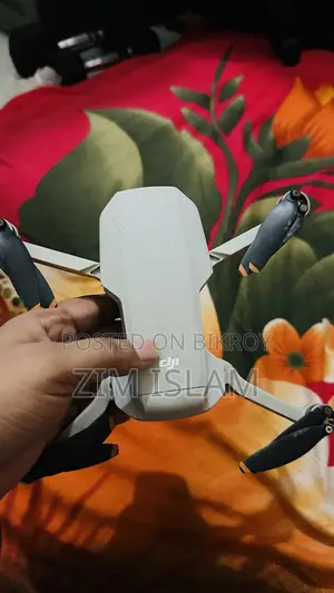 ডিজেআই মিনি ২