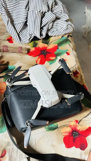 ডিজেআই মিনি ২