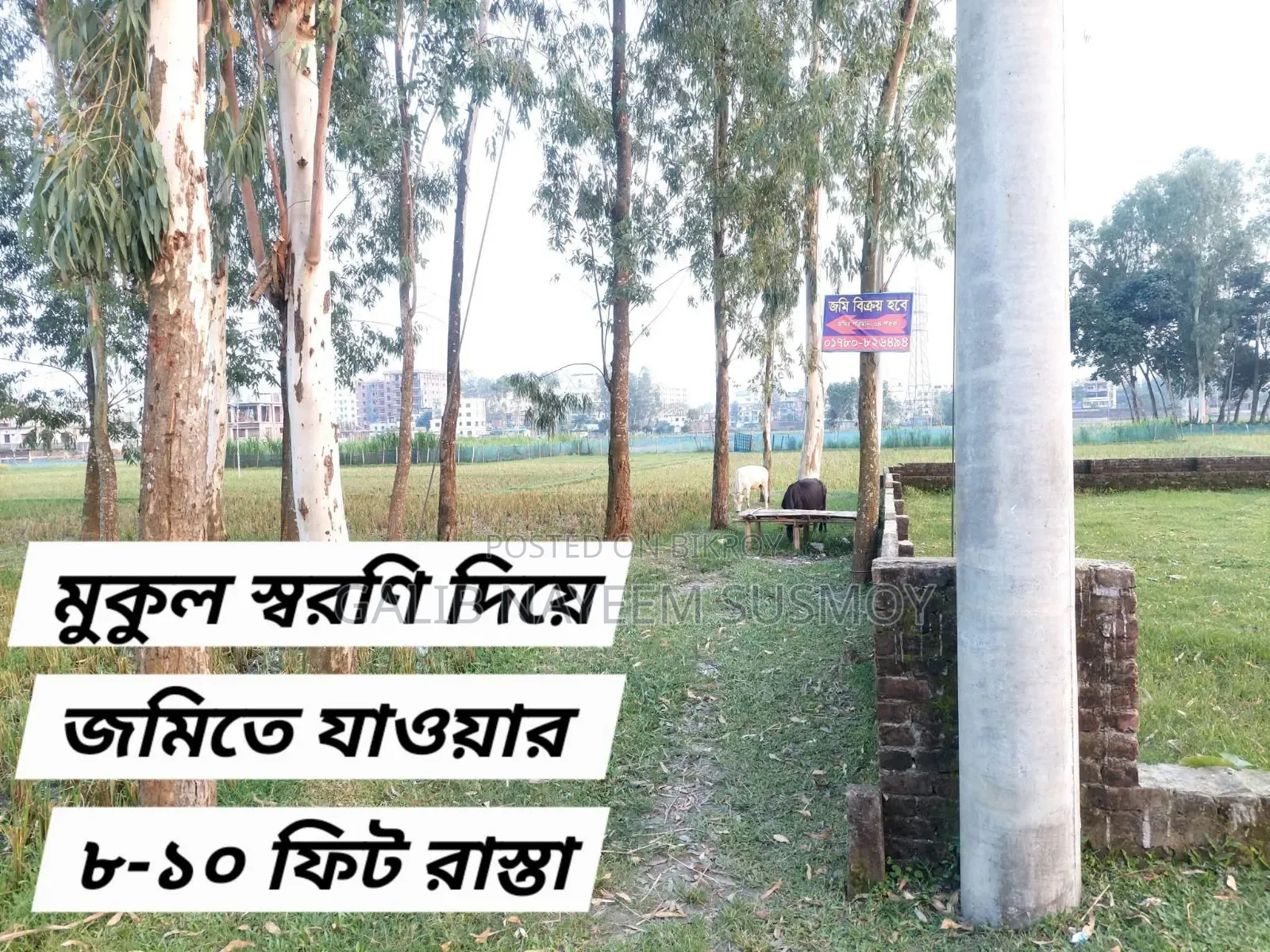রামপুরা, রংপুর ৪ শতক জমি বিক্রয় হবে।