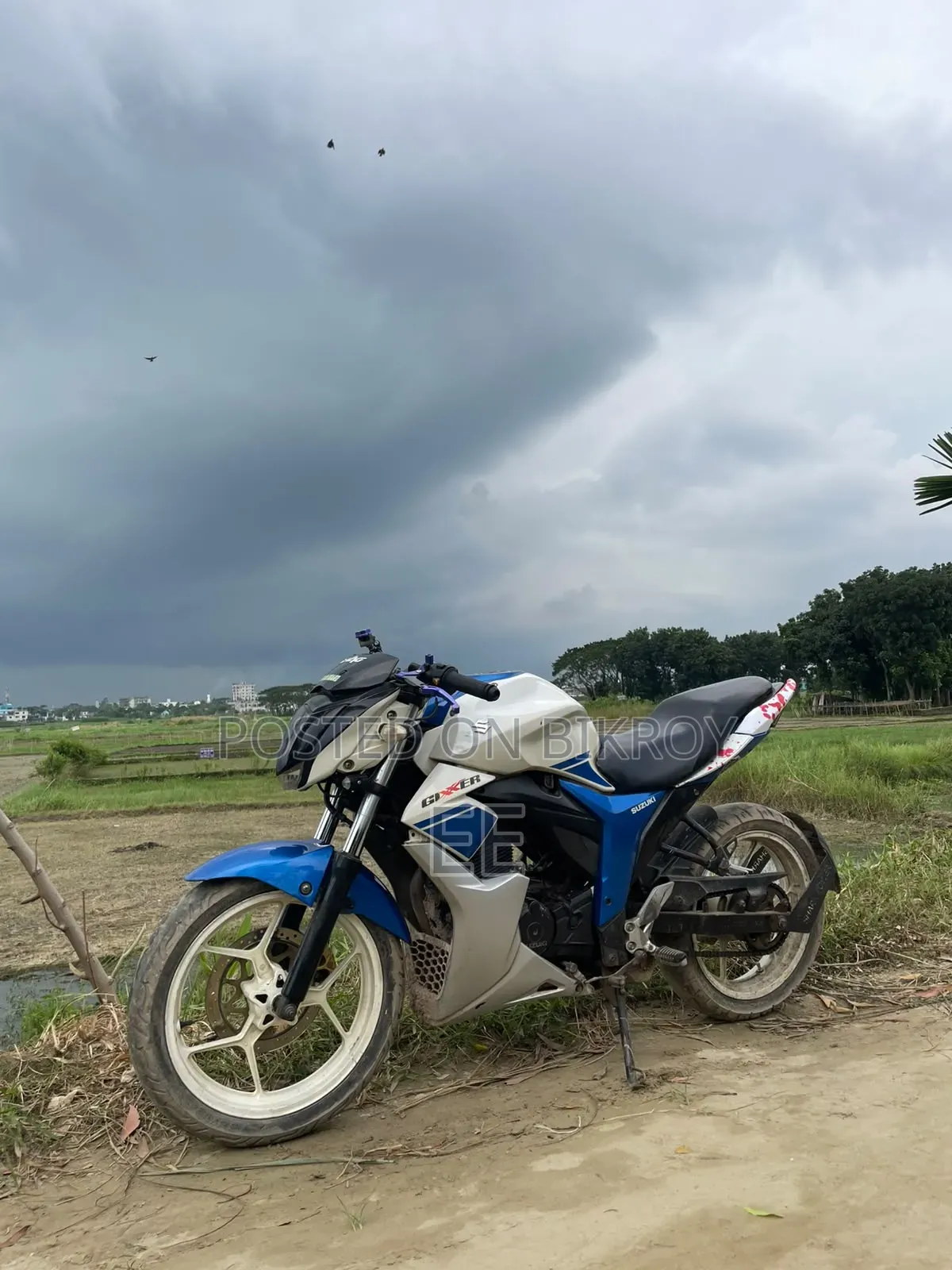 Suzuki 2016 White