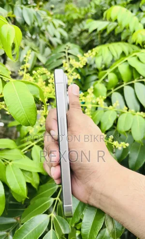 অ্যাপল আইফোন ১৫ প্রো ১২৮ জিবি সিলভার