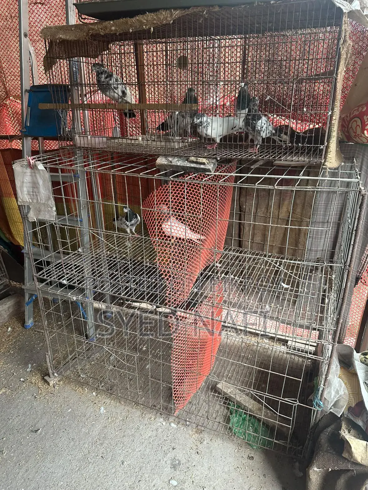 খাঁচা বিক্রি হবে