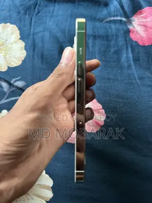 অ্যাপল আইফোন ১৩ প্রো ১২৮ জিবি সিলভার