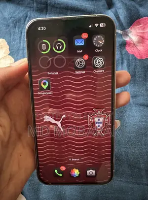 অ্যাপল আইফোন ১৩ প্রো ১২৮ জিবি সিলভার