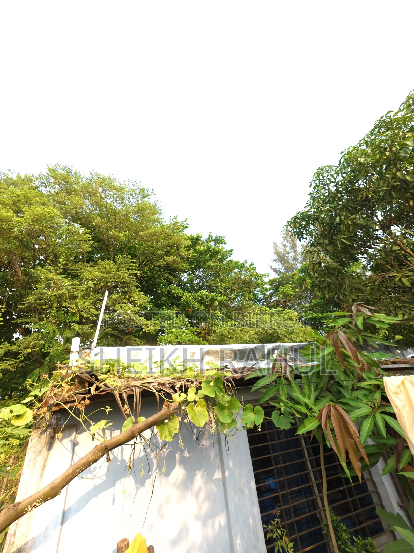 3bdrm House in Unknown, Gollamari for sale
