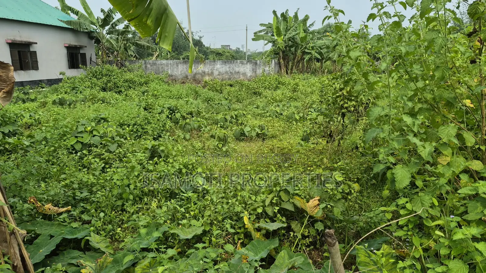 সেক্টর ২৬ দক্ষিণমুখী ৩ কাঠা প্লট পূর্বাচল
