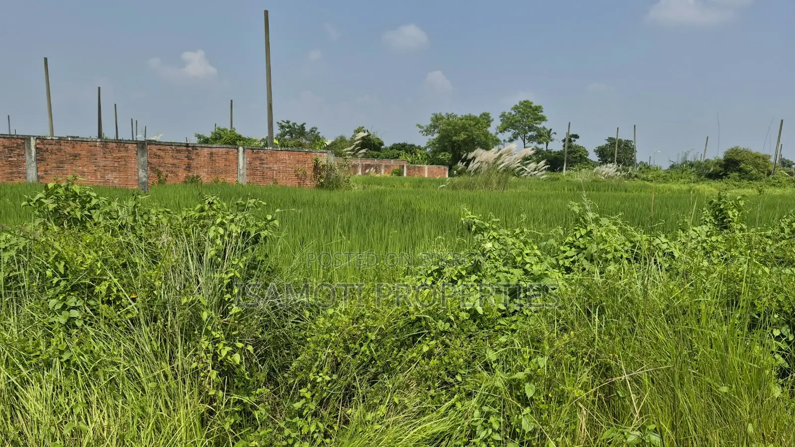 সাউথ ফেস ৩ কাঠা পূর্বাচল সেক্টর ২৩
