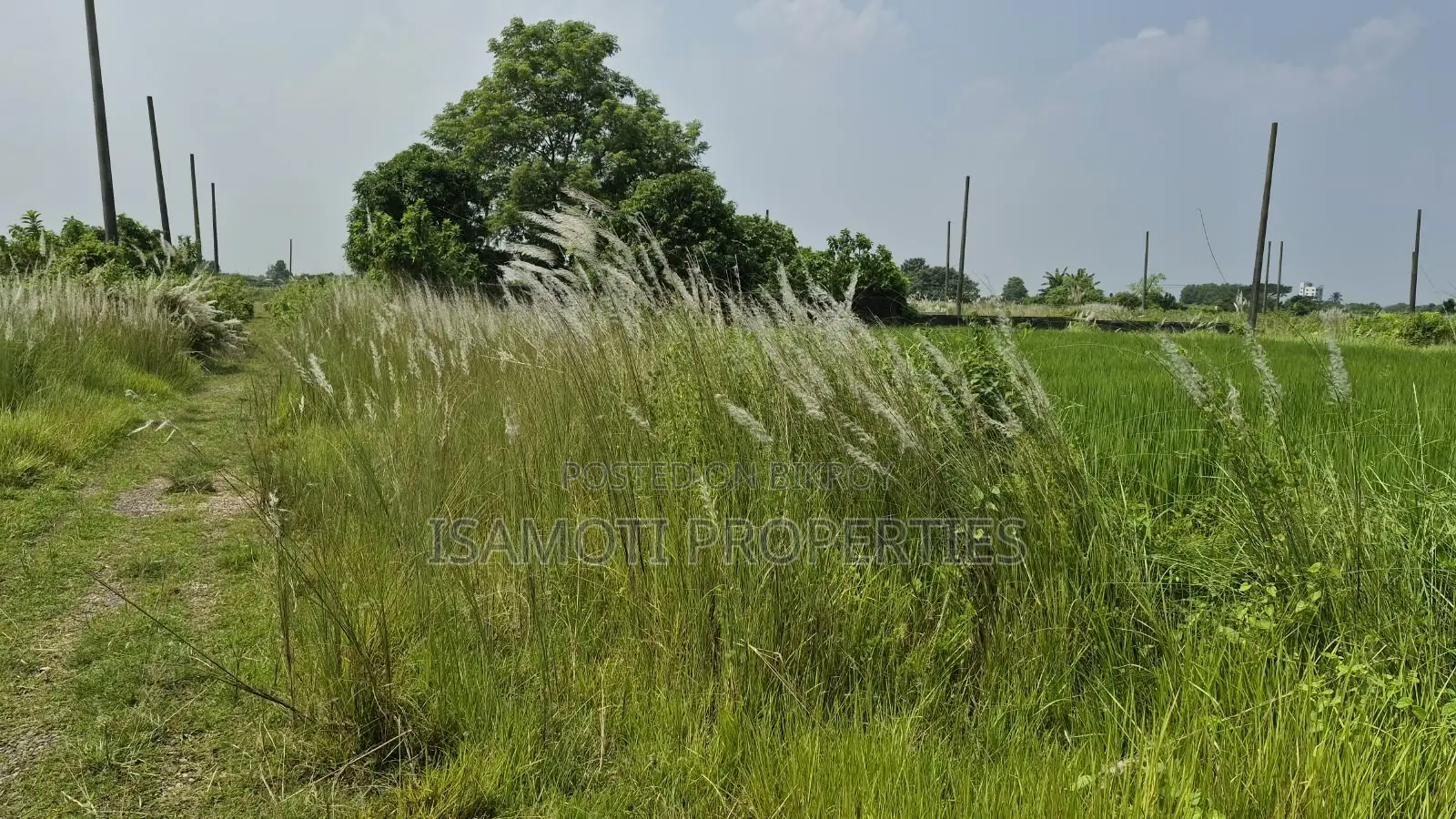 সাউথ ফেস ৩ কাঠা পূর্বাচল সেক্টর ২৩